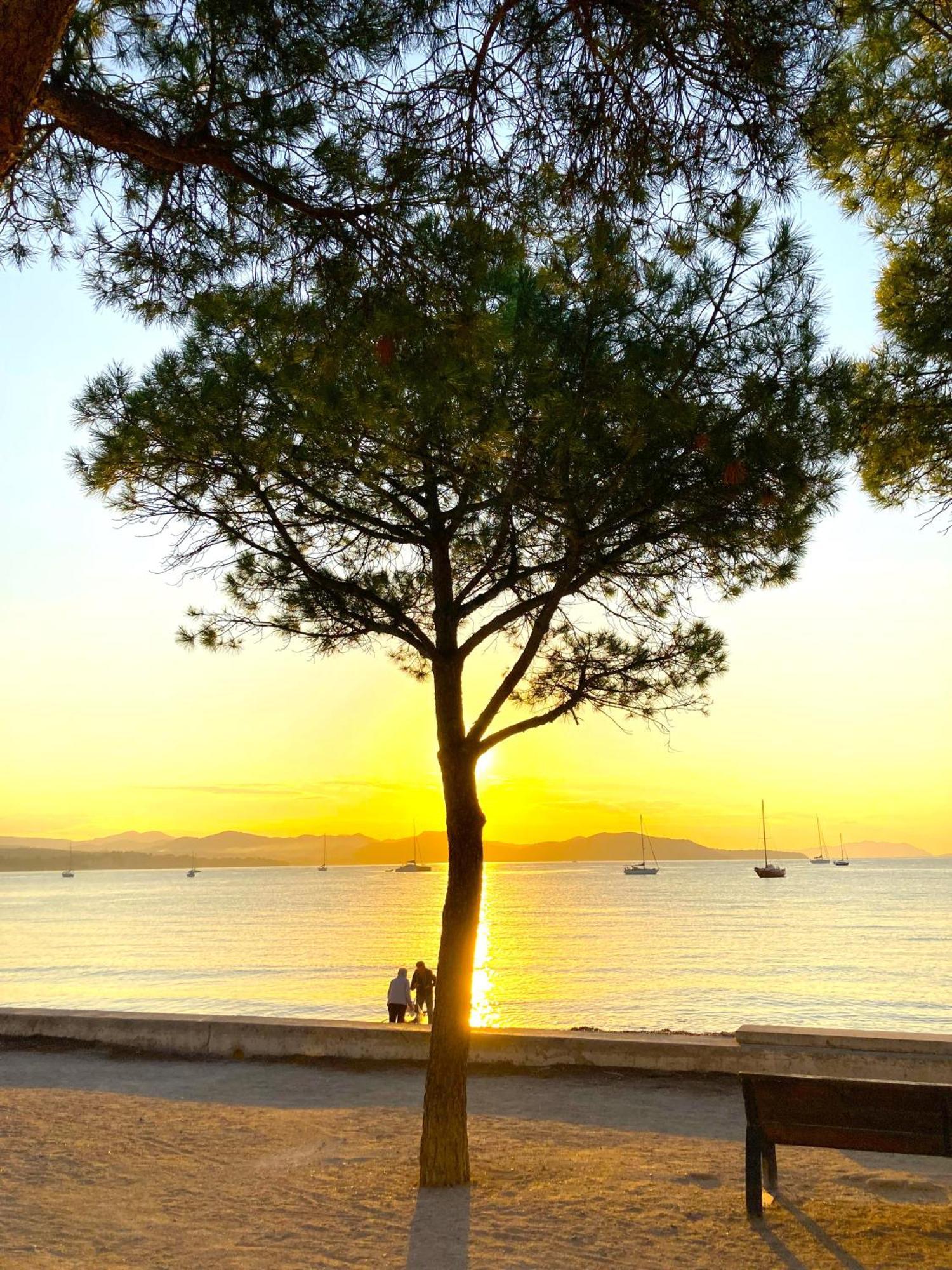 Blue Summer Vibes Appartment For 4P, Ac, Parking, Beachfront, Spa Access -5 La Ciotat Kültér fotó